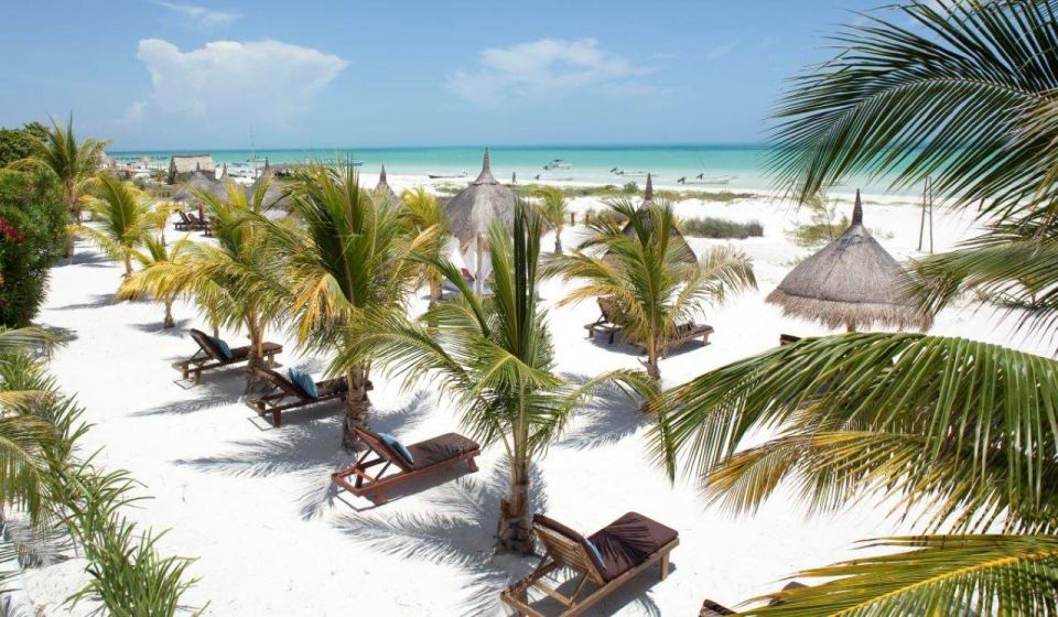 From Cancún/Playa Del Carmen: Holbox Island Tour - Pricing