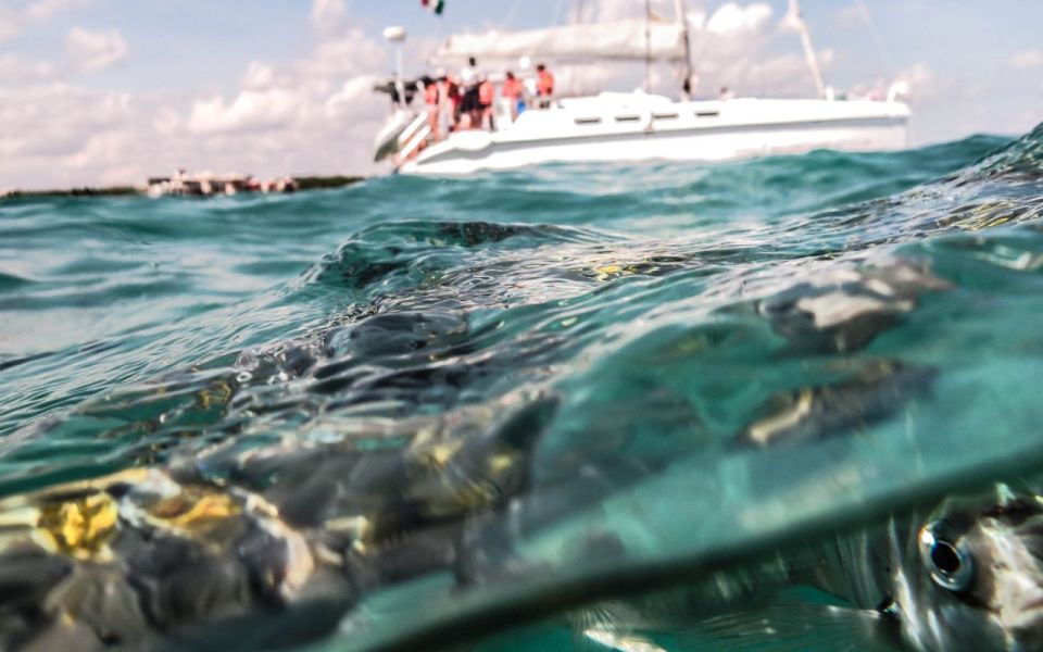 From Cancun/Playa Del Carmen: Maroma Beach Nude Day Cruise - Key Points