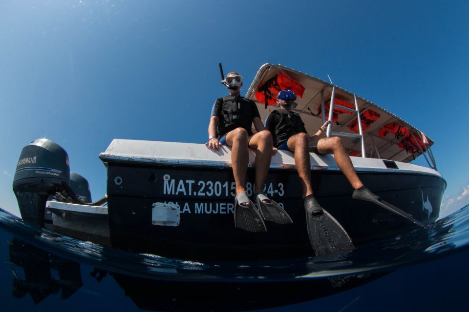 From Cancun/Riviera Maya: Guided Whale Shark Snorkeling Tour - Frequently Asked Questions