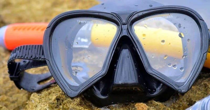 From Cancun: Snorkeling Cozumel Reefs - Who Should Consider This Tour?