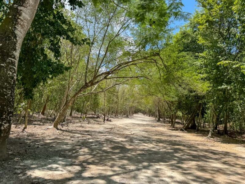 From Cancun: Tour to Tulum and Coba with cenote visit and lunch buffet - Key Points