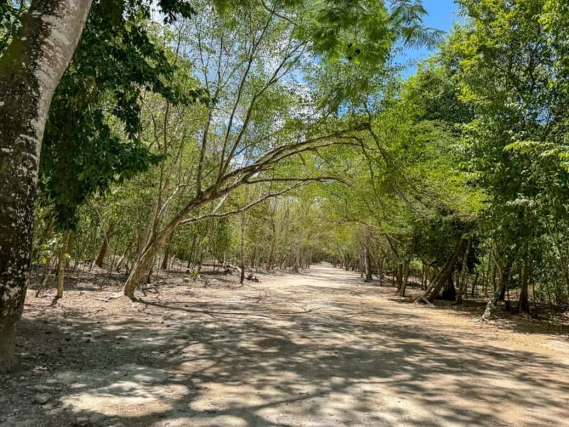 From Cancun: Tulum and Coba Tour with a cenote visit and buffet lunch - An Overview of the Experience