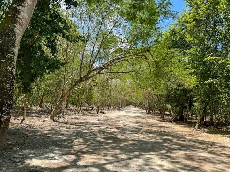 From Cancun: Tulum and Coba Tour with a cenote visit and buffet lunch - Who Will Appreciate This Tour?