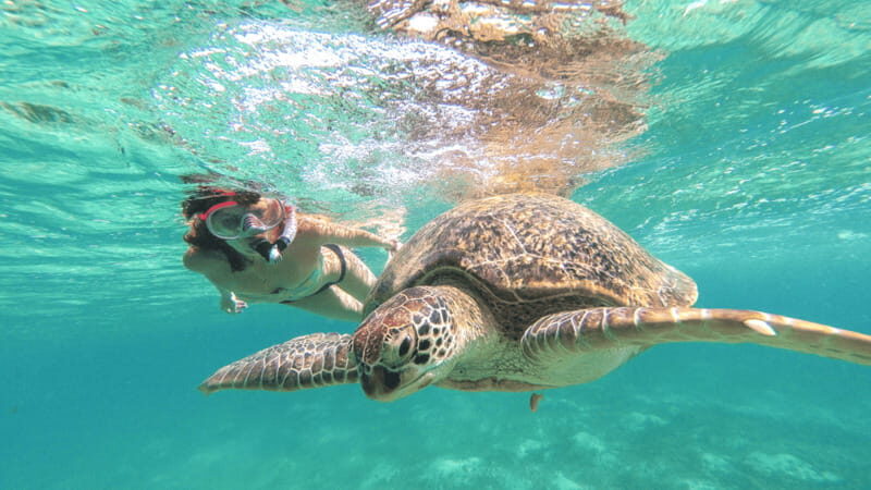 From Cancun: Tulum, Cenote and Turtle Swim Tour at Akumal - FAQ