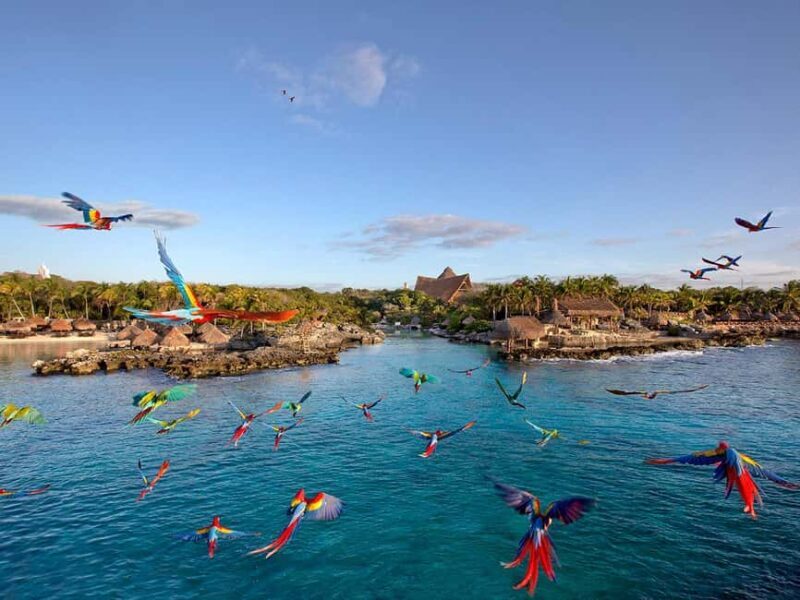 From Cancun: Xcaret Plus Park, the complete experience - Extras and Practicalities