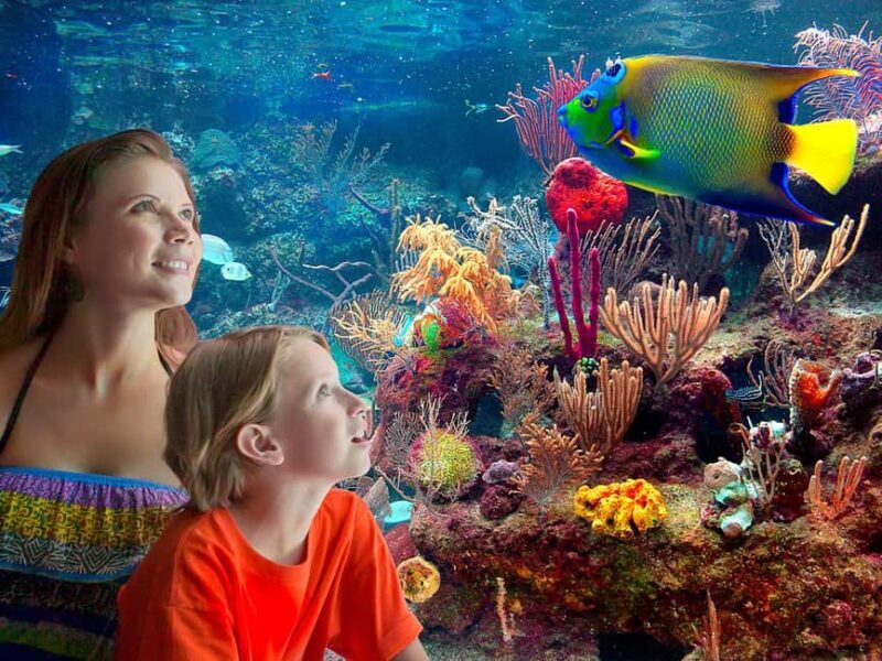 From Cancun: Xcaret Plus Park, the complete experience - Who Is This Tour Best Suited For?