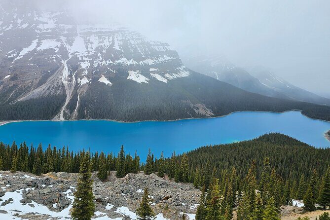 From Canmore/Banff: Columbia Icefield Skywalk Peyto Private Tour - The Sum Up