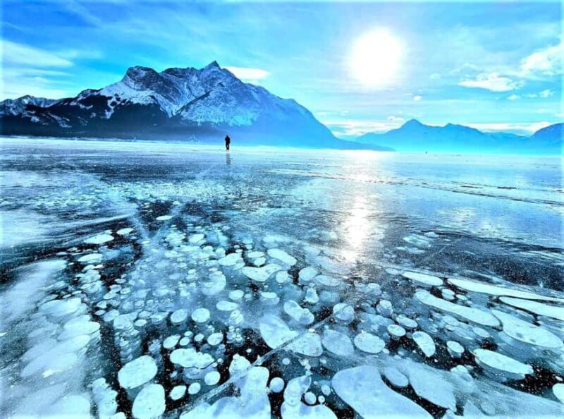From Canmore/Banff: Icefields Parkway & Abraham Lake Bubbles - Authentic Reviews and Insights