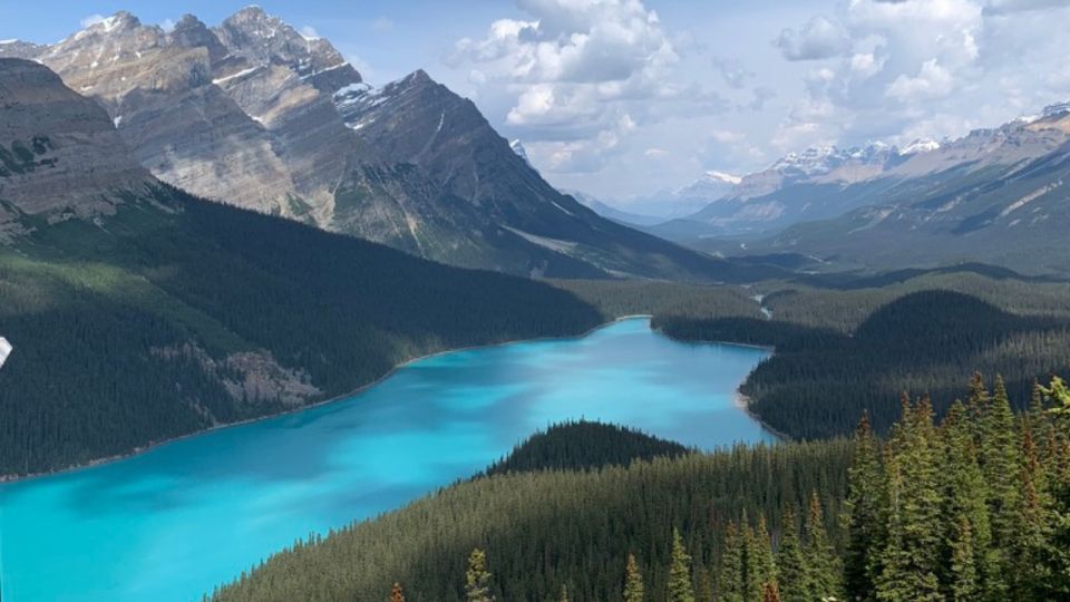 From Canmore/Banff: Icefields Parkway Experience - Pricing and Booking