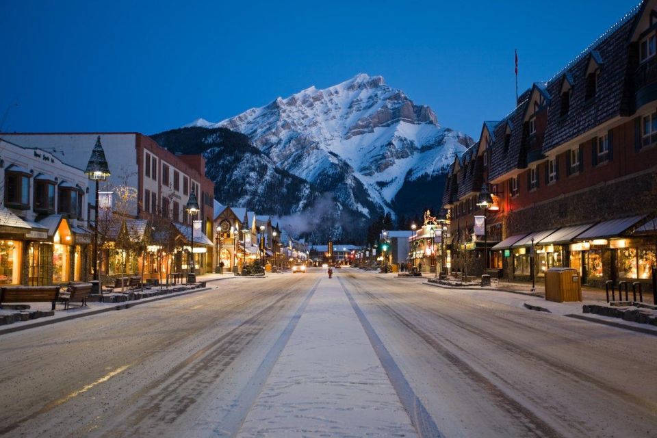 From Canmore/Banff: Lake Louise and Johnston Canyon Tour - Inclusions