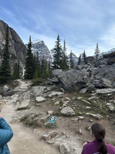 From Canmore/Banff:Moraine Lake & Lake Louise 1.5h per lake - Guided Insights and Tips
