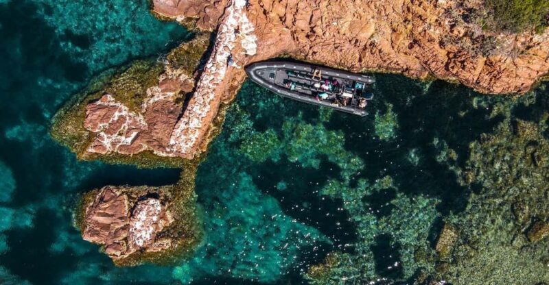 From Cannes: Discover the Calanques of the Esterel - Activity and Duration
