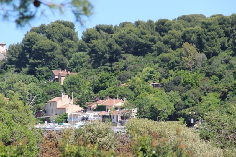 From Cannes: Ferry Tickets to Sainte-Marguerite Island - Cancellation and Refund Policy