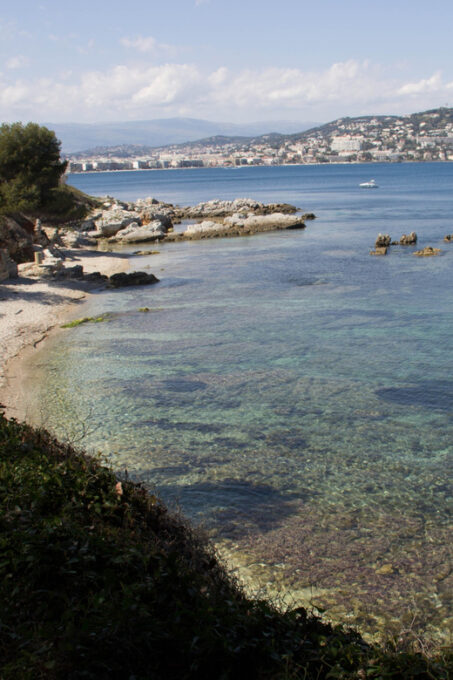 From Cannes: Ferry Tickets to Sainte-Marguerite Island - Frequently Asked Questions