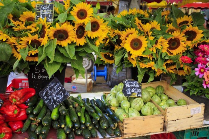 From Cannes: St Paul De Vence, Antibes & Wine Tasting Tour - Antibes Sightseeing Experience