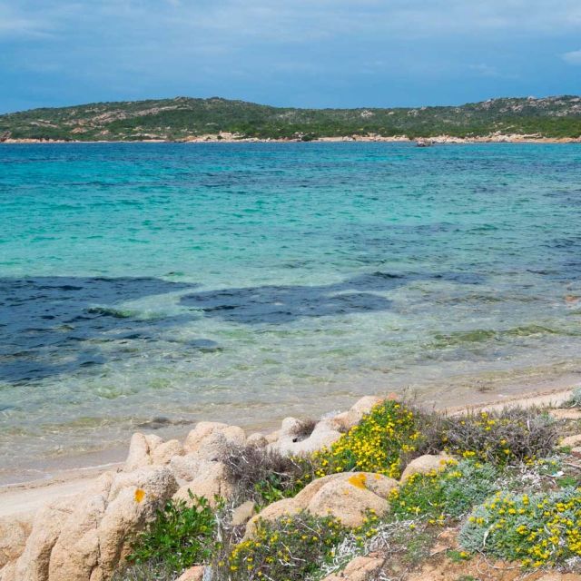 From Cannigione: Private Caprera Snorkeling Trip by Boat - Key Points