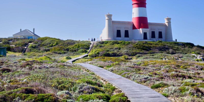From Cape Town: 3-Day Garden Route Safari and Coastal Tour - Good To Know