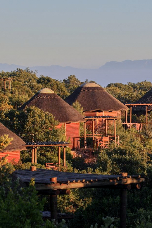 From Cape Town: 3-Day Garden Route Safari and Coastal Tour - Itinerary Highlights