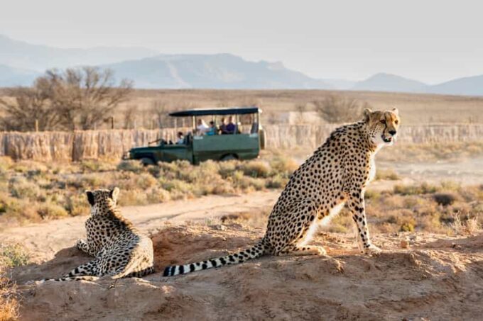 From Cape Town: 3-Day Garden Route Safari and Coastal Tour - Getting to the Starting Point