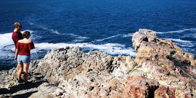 From Cape Town: 3-Day Garden Route Safari and Coastal Tour - Frequently Asked Questions