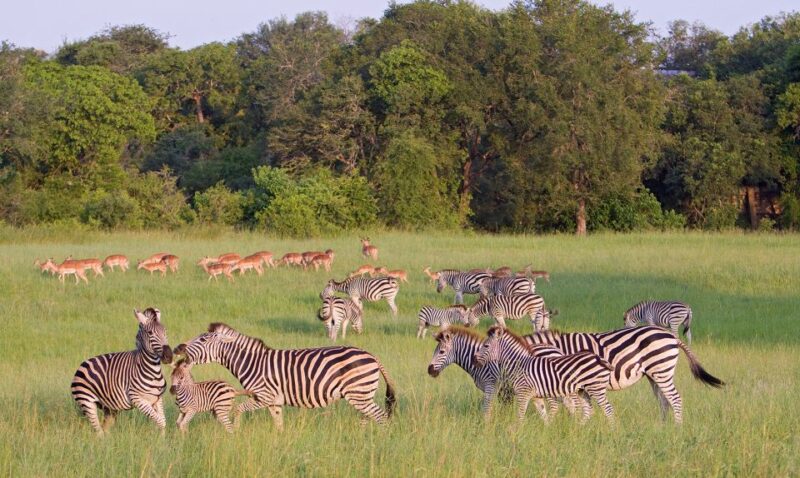 From Cape Town: 3 Days Kruger Safari & Panorama Route Tour - Exploring the Panorama Route