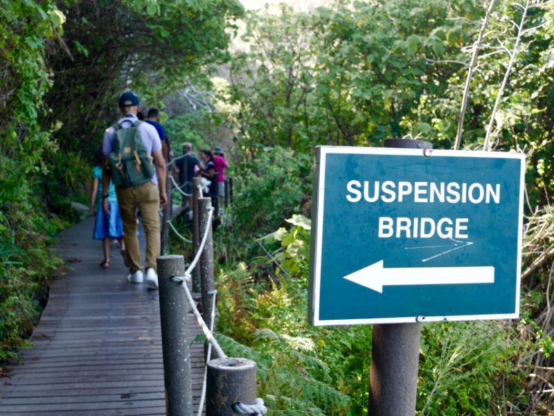 From Cape Town: 5-Day Best of Garden Route and Addo Safari - Good To Know