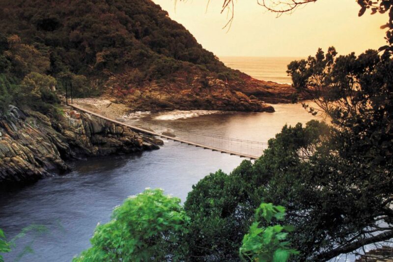 From Cape Town: 5-Day Best of Garden Route and Addo Safari - Itinerary Highlights