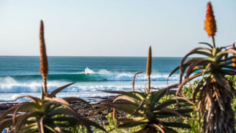 From Cape Town: 5-Day Best of Garden Route and Addo Safari - Included Services