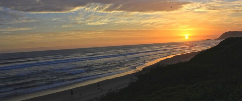 From Cape Town: 7 Day Garden Route, Addo and Winelands Combo - Discovering Oudtshoorn and Cango Caves