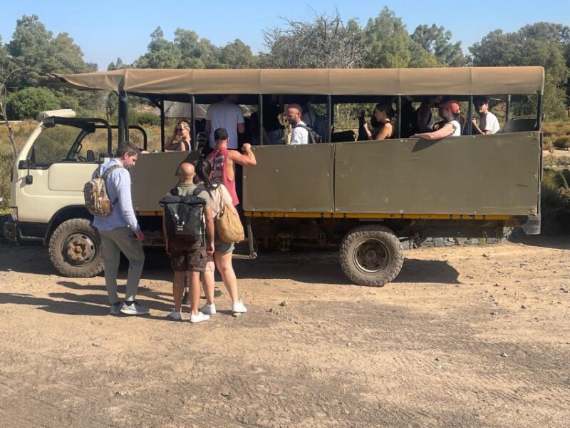 From Cape Town: Aquila Game Reserve & Game Drive - Good To Know