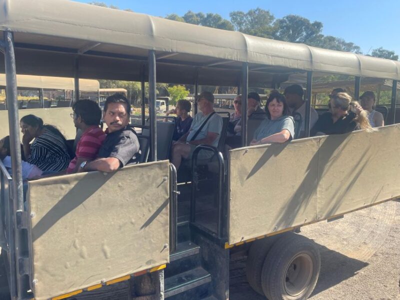 From Cape Town: Aquila Game Reserve & Game Drive - Customer Feedback