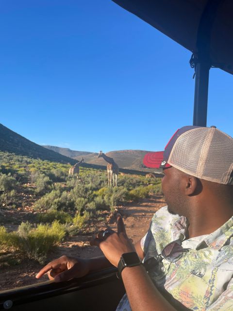 From Cape Town: Aquila Game Reserve & Game Drive - Exploring Aquila Game Reserve