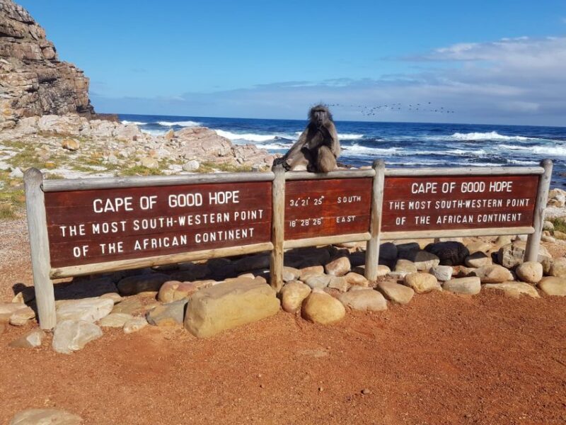 From Cape Town: Cape Point and Boulders Beach Full-Day Tour - Good To Know