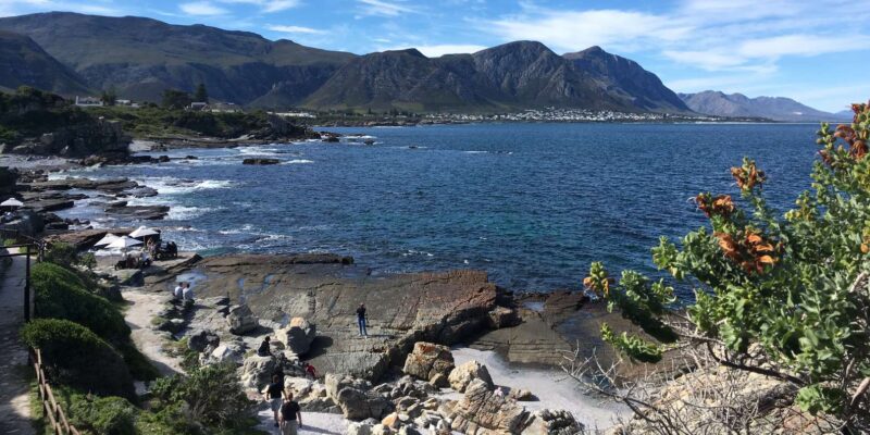 From Cape Town: Full Day Tour to Hermanus - Whale Watching Experience