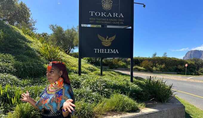 From Cape Town: Stellenbosch & Franschhoek Wine Tasting Tour - Tokara Wine Tasting