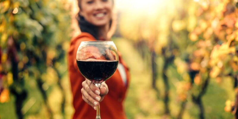 From Cape Town: Winelands Best Day Ever: Private Day Tour - Morning Pickup and Activities