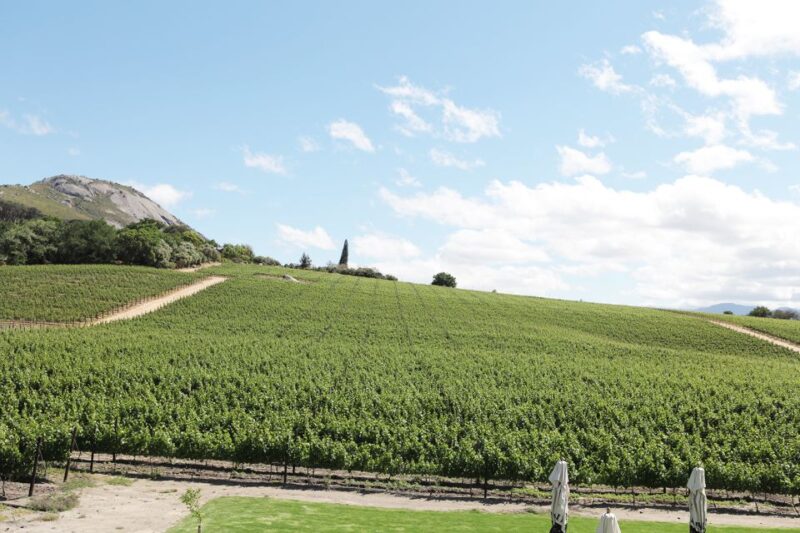 From Cape Town: Winelands Full Day Tour and Wine Tasting - Good To Know
