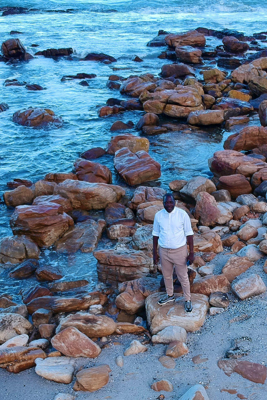 From Cape Town:Private Tour to Boulders Beach and Cape Point - Itinerary Highlights