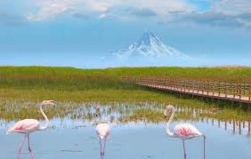 From Cappadocia: Sultan Marshes Area & Waterfall Tour - In-Depth Look at the Waterfalls and Natural Highlights