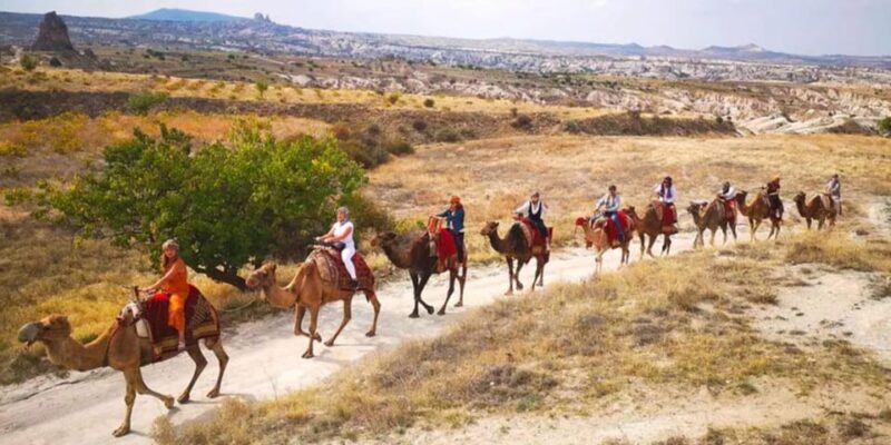 From Cappadocia: Sunrise or Sunset Camel Riding Day Trip - Final Thoughts: Who Will Love This Tour?