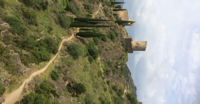 From Carcassonne:Lastours Castles & Carcassonne Guided Tour - Inclusions and Amenities