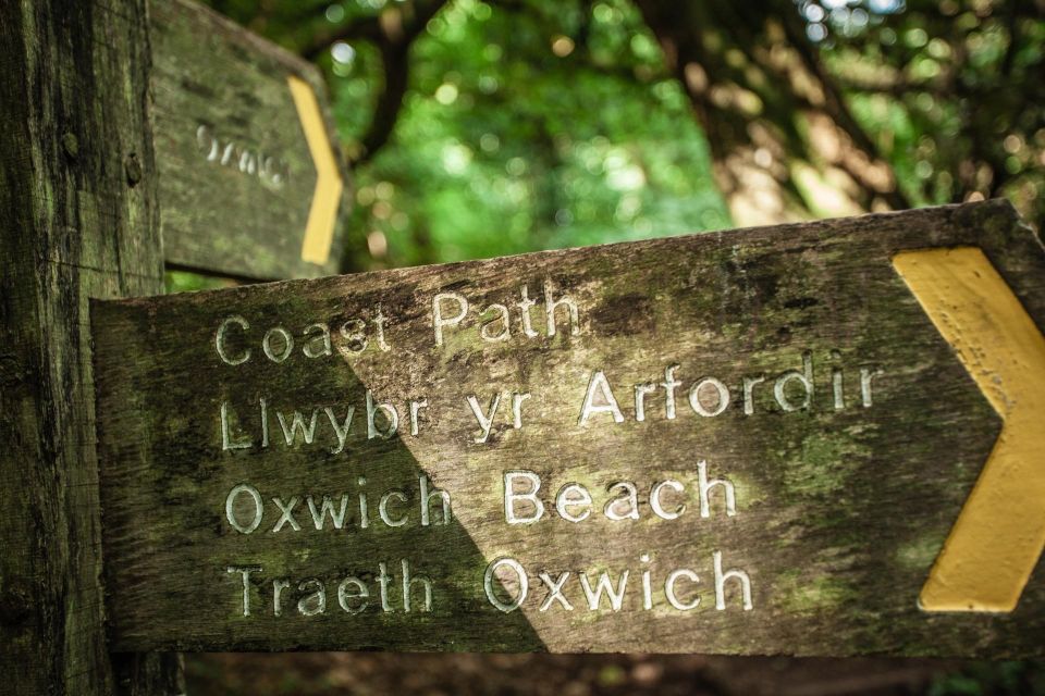 From Cardiff: Mumbles, Three Cliffs, Worms Head Gower Tour - Travel Experience