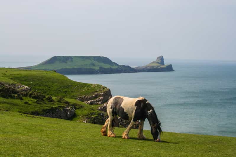 From Cardiff: Swansea, Mumbles and Gower Coast Full-Day Tour - Itinerary Highlights