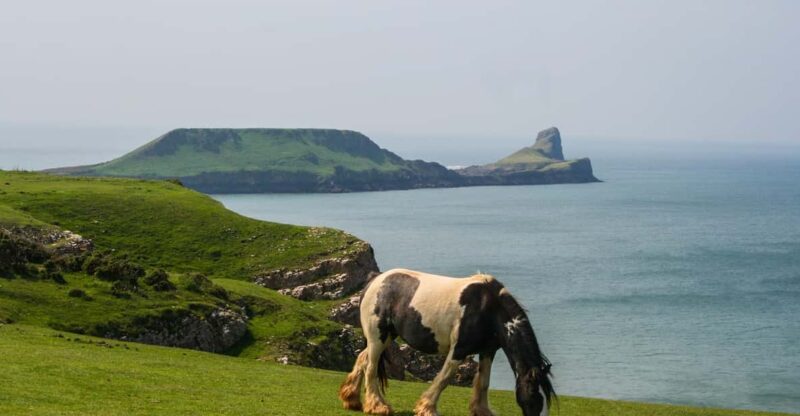 From Cardiff: Swansea, Mumbles and Gower Coast Full-Day Tour - Swansea Exploration