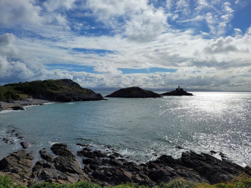 From Cardiff: The Wandering Bard's Swansea Bay Day Tour - Key Points