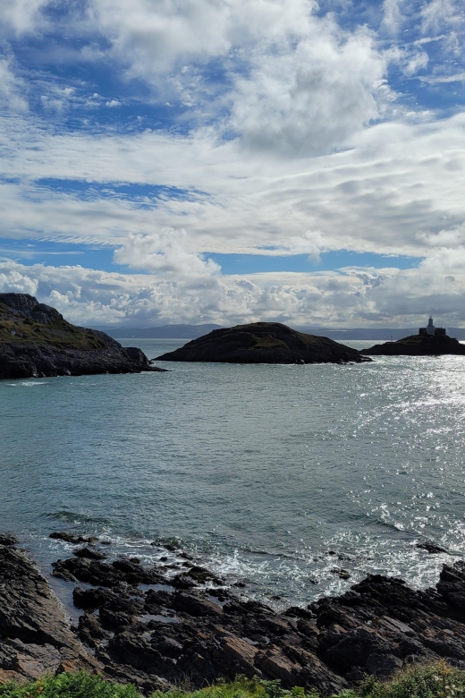 From Cardiff: The Wandering Bards Swansea Bay Day Tour - Key Points