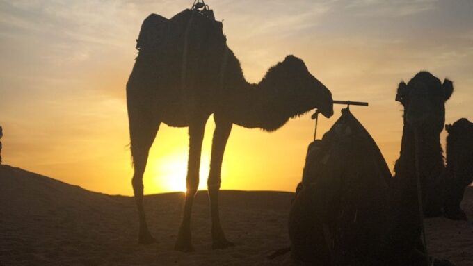 From Casablanca : 10 Day Highlights Morocco Tour via Desert - Desert Exploration