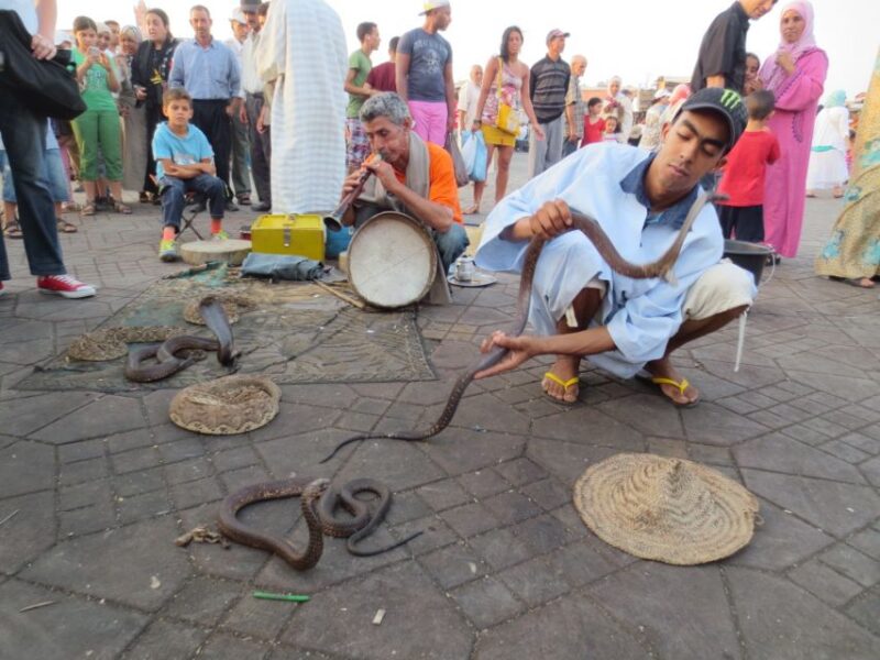 From Casablanca: 10-Day Morocco Tour - Itinerary Highlights