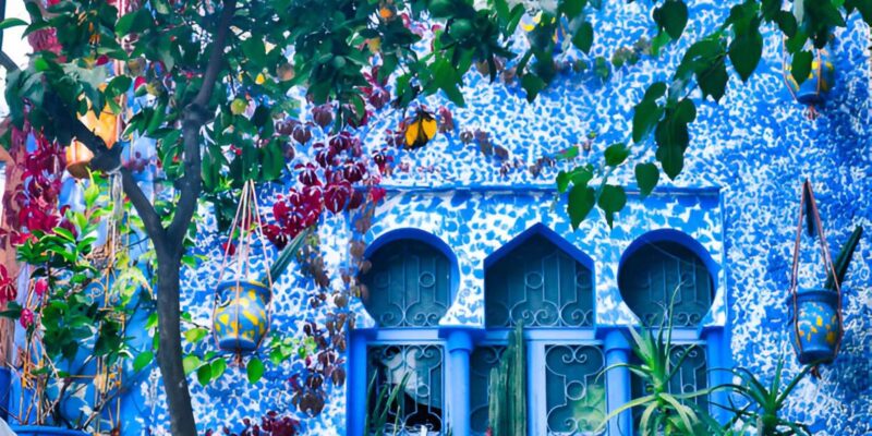 From Casablanca: 10-Day Tour to Imperial Cities and the … - Casablanca: Exploring the Iconic Mosque
