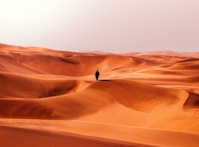 From Casablanca : 11 Days to Sahara Desert, Imperial Cities - Transportation and Services